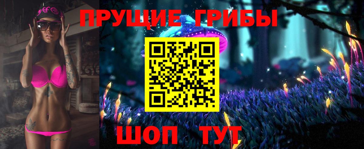 Псилоцибиновые грибы GOLDEN TEACHER  Вход с VPN  Галлюциногенные грибы мицелий  Семёнов 