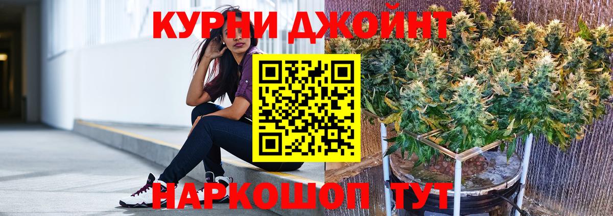 Канабис сатива  Бошки марихуана план  Вход с VPN  Канабис марихуана  Семёнов 